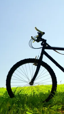 Скачать 720x1280 велосипед, поле, трава, деревья обои, картинки samsung  galaxy mini s3, s5, neo, alpha, sony xperia compact z1, z2, z3, … | Дерево,  Велосипед, Трава