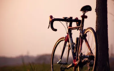 Как выбрать велосипед: виды, где купить, как ухаживать, какая нужна  экипировка