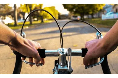 Анатомия горного велосипеда - Статьи | Bikedivision - интернет-магазин  велосипедов по доступным ценам | BikeDivision.ru