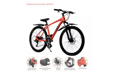 Скоростные женские велосипеды купить в Барнауле - интернет-магазин  ВелоСтрана.ру