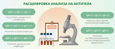 Сдать анализы на ЗППП и ИППП в СПб – цена анализов на венерические  заболевания для мужчин и женщин