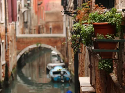 Различные точки зрения Венеции. Италия Редакционное Фотография -  изображение насчитывающей европа, грандиозно: 204512097
