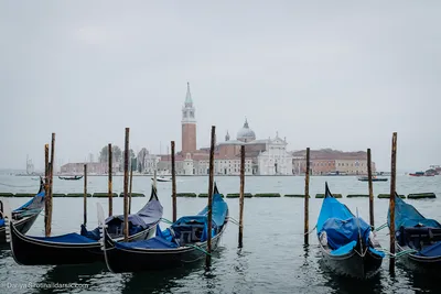 Венеция — Википедия
