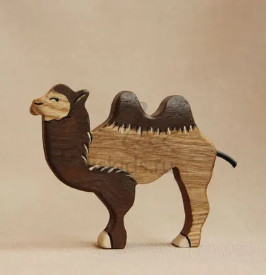 Маленький Верблюд — стоковые фотографии и другие картинки Азия - Азия, Без  людей, Верблюд - iStock