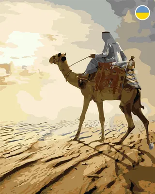 У верблюда в горбах вода или жир? — Природа Мира