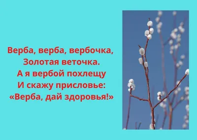 Вербное воскресенье 25 апреля: красивые картинки и душевные поздравления с  праздником - МК Новосибирск