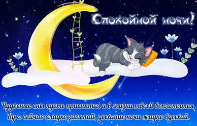 Сказка на ночь Подушка декоративная Веселые коты 40х40 см