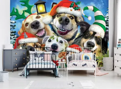 Фото обои звери Рождество Смешные Деды Морозы 254x184 см Веселые собаки  зимой - Селфи (12869P4)+клей (ID#1540136767), цена: 1000 ₴, купить на  Prom.ua