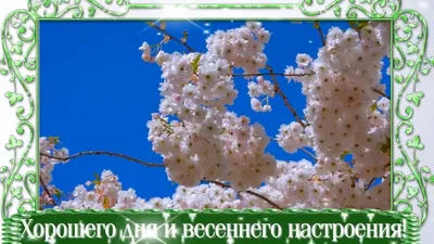 ВЕСЕННЕГО НАСТРОЕНИЯ - Весна - Повседневная анимация - Анимация - SuperGif