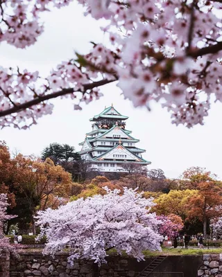 Весенняя Япония в снимках Кристины Макеевой