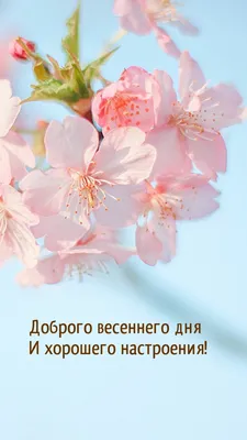 Картинки доброго дня хорошего настроения с красивыми душевными пожеланиями  весна (54 фото) » Картинки и статусы про окружающий мир вокруг