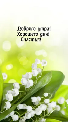 https://otkritkit.ru/super-positive-pictures-of-good-spring-day/