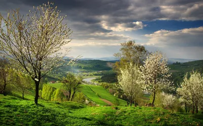 Фон для студийной фотосъемки с изображением весеннего сада природы |  AliExpress