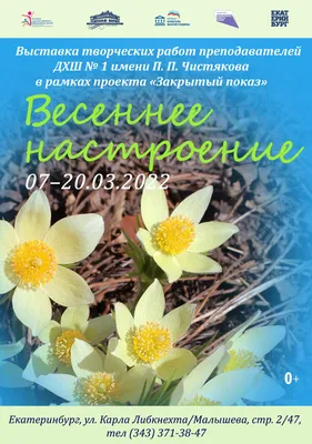 картинки : весна, цветок, природа, Красочный, цветущее растение, лепесток,  Четыре семьи часов, Гребневые 4284x2856 - Konevi - 1605262 - красивые  картинки - PxHere