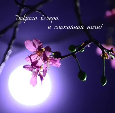 Доброй ночи весна - фото на тему весны и ночи - pictx.ru