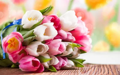 Фон рабочего стола где видно white daffodils, spring flowers, spring,  flowers, holiday, beautiful wallpaper, белые нарциссы, весенние цветы,  весна, цветы, праздник, красивые обои