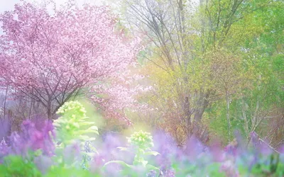 Картинки весна дом красивые (69 фото) » Картинки и статусы про окружающий  мир вокруг
