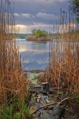 Весна - апрель. / Весна - апрель. / Фотография на PhotoGeek.ru