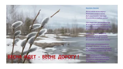 В Украину наконец пришла весна - Центр журналістських розслідувань