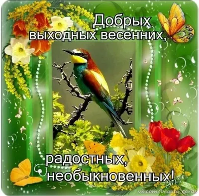 Весна надписи. Letttering иллюстрация с цветами и птицами Стоковое Фото -  изображение насчитывающей украшение, зеленый: 214335940