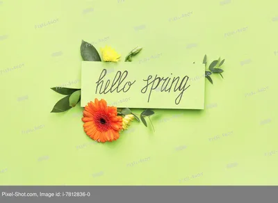 Надпись Счастливая Весна Цветок Тюльпана Весенний Фон — стоковые фотографии  и другие картинки Апрель - iStock