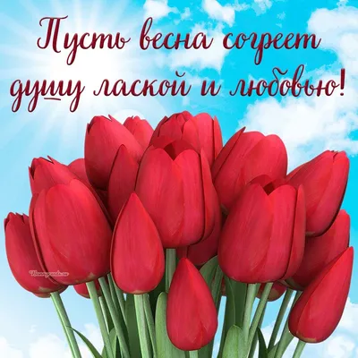 нежные весенние открытки с мотивирующими надписями №1072257 - купить в  Украине на Crafta.ua