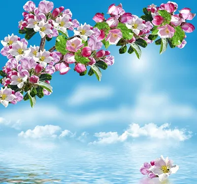 Весна. Красивые картинки на телефон. Скачайте бесплатно! | Цветок, Цветущие  деревья, Нарциссы