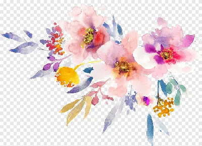 бесплатное фото: цветок, Природа, Весна, Цветы, Сад, завод, Весенние цветы  | Hippopx