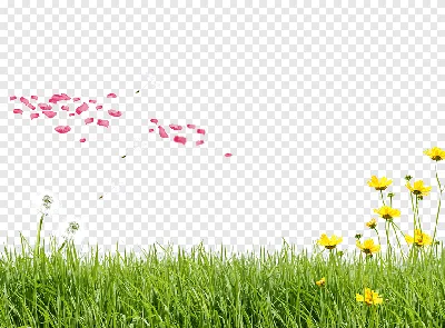 Картинки вертикальные весна цветы (70 фото) » Картинки и статусы про  окружающий мир вокруг