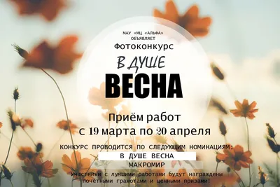 ВЕСНА В ДУШЕ | Наталья Мазур | Дзен