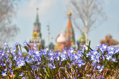 Туры по России весной цены 2024