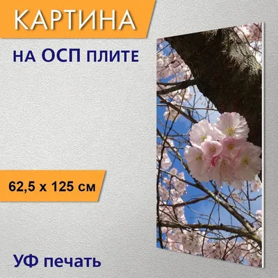 Картинки весна на заставку телефона (56 фото) - 56 фото