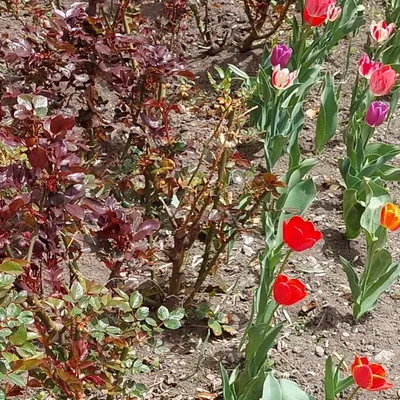 Весна. Точно весна | Пикабу