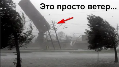 Сеть рассмешило видео, где мужчину с зонтиком относит ветром, как Мэри  Поппинс – Люкс ФМ