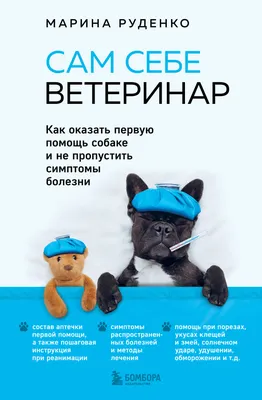 Почему профессия ветеринара является перспективной?