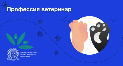 Сам себе ветеринар. Как оказать первую помощь собаке и не пропустить  симптомы болезни (Марина Руденко) - купить книгу с доставкой в  интернет-магазине «Читай-город». ISBN: 978-5-04-103798-7