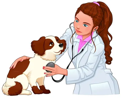 Профессия ветеринар: описание профессии, где учиться, работать, плюсы и  минусы профессии