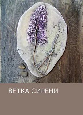 Ветка сирени - Школа сегодня