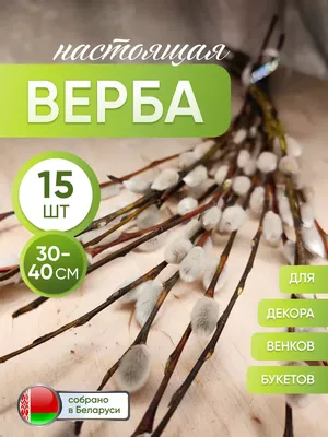 Ветка искусственная \"Верба\", 100 см