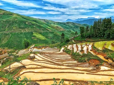 Террасные рисовые поля И Ти - мистическая красота на севере Вьетнама |  ТУРИЗМ | Vietnam+ (VietnamPlus)