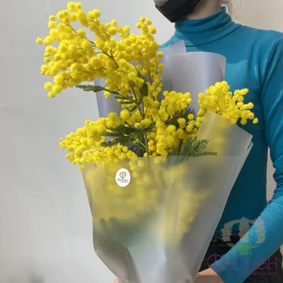 Искусственные цветы веточка Мимозы, 40 см купить по цене 149 ₽ в  интернет-магазине KazanExpress