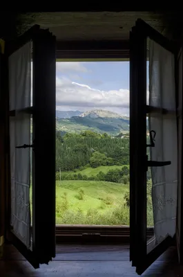 Вид из окна на природу» — создано в Шедевруме