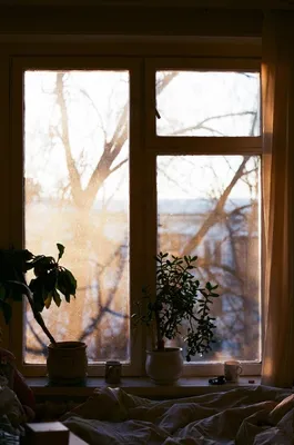 Фотообои Вид из окна на природу 22175 ➣ купить качественные фотообои по  низким ценам в Киеве и всей Украине