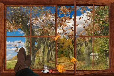 Окно в природу (75 фото) - фото - картинки и рисунки: скачать бесплатно