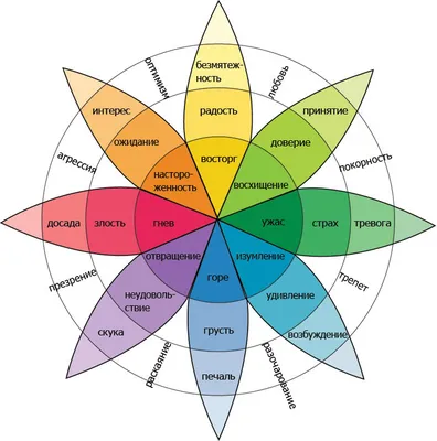 Таблица чувств и эмоций человека: анализ спектра чувств