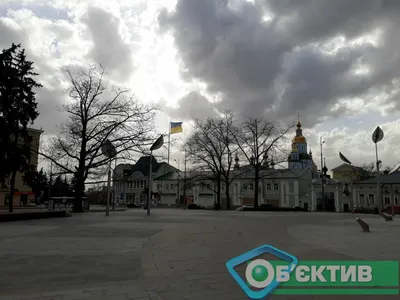 Опубликовано лучшее фото Харьковской области 2019 (фото) - Харьков  Vgorode.ua