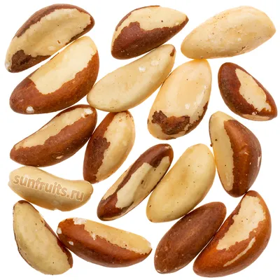 Размножение ореха - сорта и сеянцы. История появления ореха \"Идеал\" -  Орехоплодный питомник