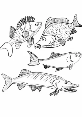 Маленький гений-Пресс Обучающие карточки Речные рыбы - купить с доставкой  по выгодным ценам в интернет-магазине OZON (136532917)