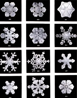 GISMETEO: Какими бывают снежинки: 7 разных видов - События | Новости погоды.