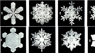 несколько видов снежинок иллюстрация вектора. иллюстрации насчитывающей  снежок - 218466900